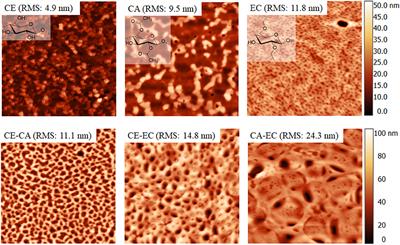 Affinity of Serum Albumin and Fibrinogen to Cellulose, Its Hydrophobic Derivatives and Blends